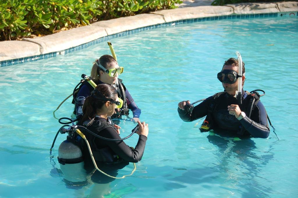 Grand Cayman Castaways Cayman Beach Resort מראה חיצוני תמונה